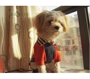 Cotton jacket big dog sportswear racing clothes