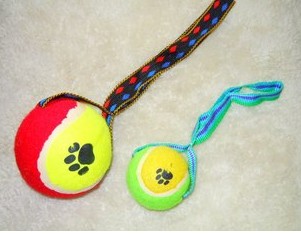 Double ball dog toy hedgehog