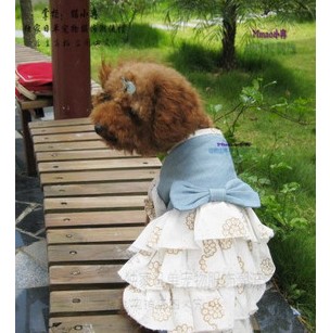 Pretty bows skirt, black and white point lace dress