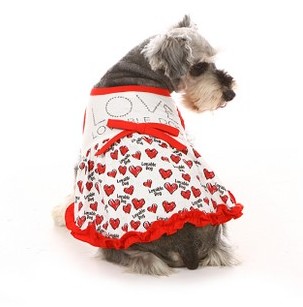 Princess Margaret Rose of England dog dress