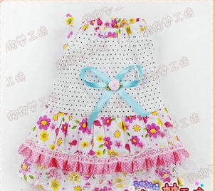 Princess Lace Dress