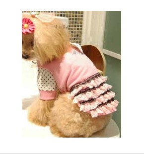 Fifi & Romeo dog dress