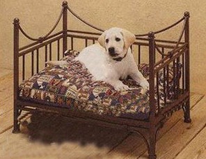 Gold-rimmed square pet bed with high back