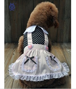 Modern lady little dress dog dress