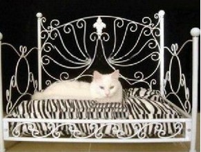 Fashion Home Pet Bed