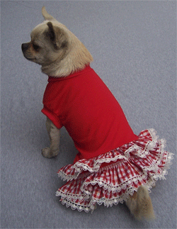 Bowknot Dog Dress-grey