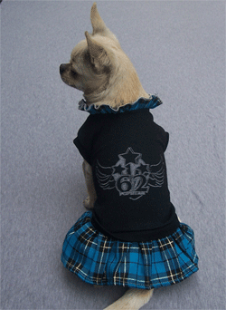 Scottish Kilt Dog Dress