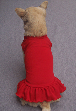 Dog Sundress-white ON SALE (XS-XXL 12 pieces)